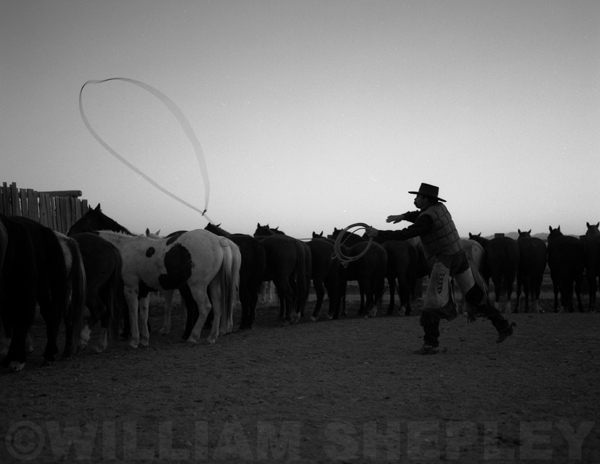 03Roping_at_DawnDougGroves