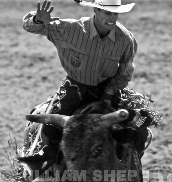 31Bullrider_Salinas_Rodeo