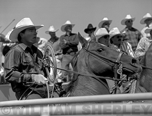 33Salinas_CA_Calf_Roper_1994