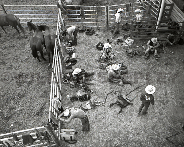 42Salinus-Rodeo-cowboys1