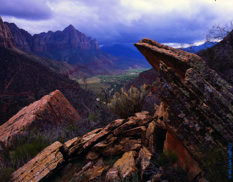 Zion Canyon