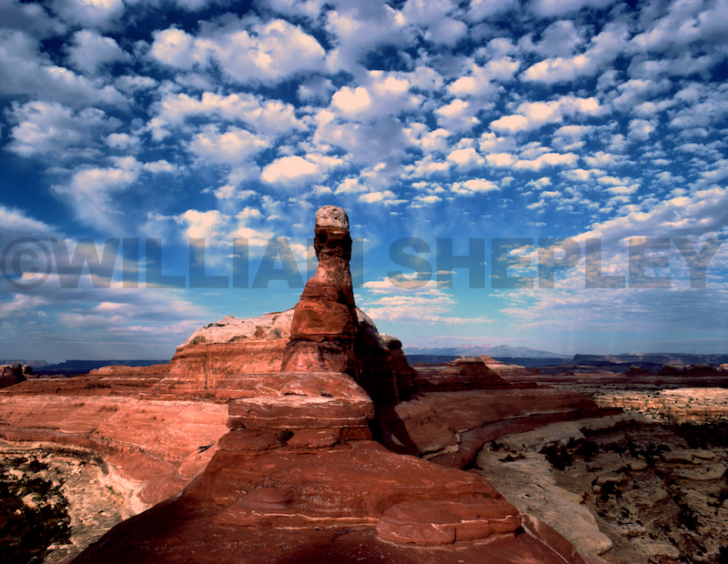 Canyonlands Needles District