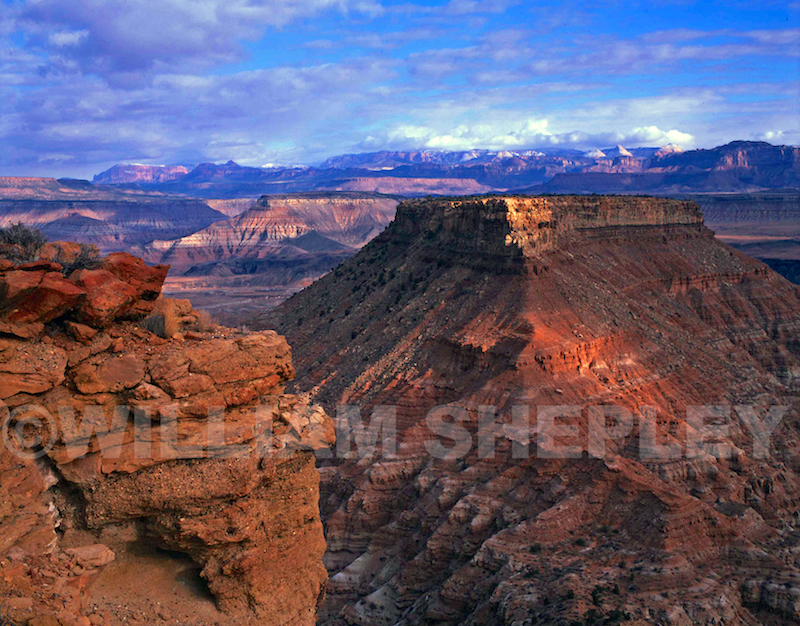 From Gooseberry Mesa