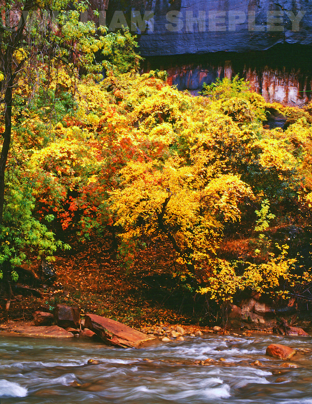 Zion National Park during Fall colors