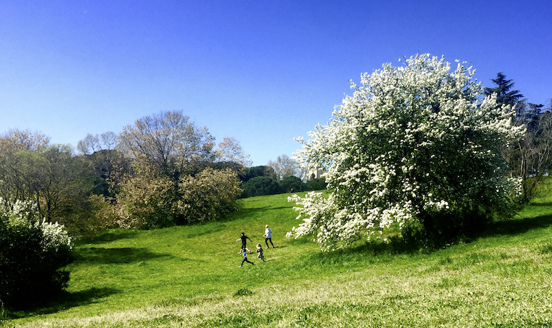 Villa_Pamphili